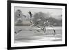 Black-headed gull flock flying, Wiltshire, UK-Nick Upton-Framed Photographic Print