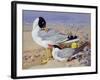 Black Headed Gulls-Archibald Thornburn-Framed Giclee Print