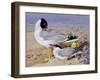 Black Headed Gulls-Archibald Thornburn-Framed Giclee Print