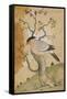 Black Headed Myna on a Tree-Trunk, India, 19th Century-null-Framed Stretched Canvas