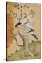 Black Headed Myna on a Tree-Trunk, India, 19th Century-null-Stretched Canvas