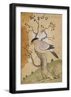 Black Headed Myna on a Tree-Trunk, India, 19th Century-null-Framed Giclee Print