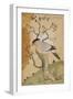 Black Headed Myna on a Tree-Trunk, India, 19th Century-null-Framed Giclee Print