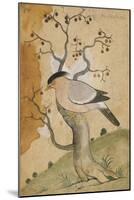 Black Headed Myna on a Tree-Trunk, India, 19th Century-null-Mounted Giclee Print