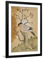 Black Headed Myna on a Tree-Trunk, India, 19th Century-null-Framed Giclee Print