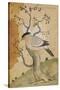 Black Headed Myna on a Tree-Trunk, India, 19th Century-null-Stretched Canvas
