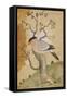 Black Headed Myna on a Tree-Trunk, India, 19th Century-null-Framed Stretched Canvas