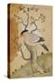 Black Headed Myna on a Tree-Trunk, India, 19th Century-null-Stretched Canvas