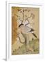 Black Headed Myna on a Tree-Trunk, India, 19th Century-null-Framed Premium Giclee Print