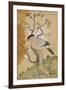 Black Headed Myna on a Tree-Trunk, India, 19th Century-null-Framed Premium Giclee Print