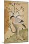 Black Headed Myna on a Tree-Trunk, India, 19th Century-null-Mounted Premium Giclee Print