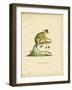 Black-Headed Squirrel Monkey-null-Framed Giclee Print