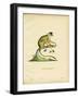 Black-Headed Squirrel Monkey-null-Framed Giclee Print