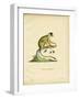 Black-Headed Squirrel Monkey-null-Framed Giclee Print