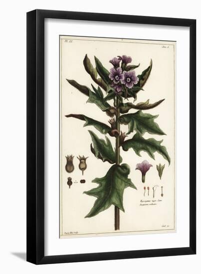 Black Henbane, Jusquiame Noire, Hyoscyamus Niger Linn-The Younger Dupin-Framed Giclee Print