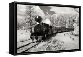 Black Hills RR II-George Johnson-Framed Stretched Canvas