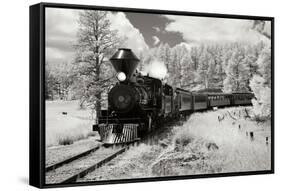 Black Hills RR II-George Johnson-Framed Stretched Canvas