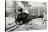 Black Hills RR II-George Johnson-Stretched Canvas