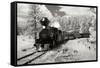 Black Hills RR II-George Johnson-Framed Stretched Canvas