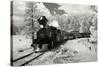 Black Hills RR II-George Johnson-Stretched Canvas