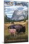 Black Hills, South Dakota - Bison Grazing-Lantern Press-Mounted Art Print