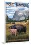 Black Hills, South Dakota - Bison Grazing-Lantern Press-Framed Art Print