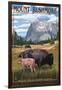 Black Hills, South Dakota - Bison Grazing-Lantern Press-Framed Art Print