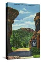 Black Hills, South Dakota, View of Harney Peak-Lantern Press-Stretched Canvas