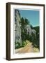 Black Hills, South Dakota - View of Spearfish Canyon, c.1937-Lantern Press-Framed Art Print