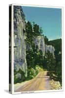 Black Hills, South Dakota - View of Spearfish Canyon, c.1937-Lantern Press-Stretched Canvas