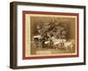 Black Hills Treasure Coach-John C. H. Grabill-Framed Giclee Print