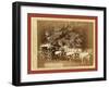 Black Hills Treasure Coach-John C. H. Grabill-Framed Giclee Print