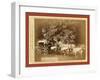 Black Hills Treasure Coach-John C. H. Grabill-Framed Giclee Print