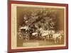 Black Hills Treasure Coach-John C. H. Grabill-Mounted Giclee Print
