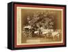 Black Hills Treasure Coach-John C. H. Grabill-Framed Stretched Canvas