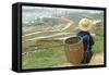 Black Hmong Ethnic Group and Rice Fields, Sapa Area, Vietnam, Indochina, Southeast Asia, Asia-Bruno Morandi-Framed Stretched Canvas