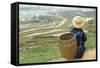 Black Hmong Ethnic Group and Rice Fields, Sapa Area, Vietnam, Indochina, Southeast Asia, Asia-Bruno Morandi-Framed Stretched Canvas