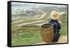 Black Hmong Ethnic Group and Rice Fields, Sapa Area, Vietnam, Indochina, Southeast Asia, Asia-Bruno Morandi-Framed Stretched Canvas