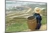 Black Hmong Ethnic Group and Rice Fields, Sapa Area, Vietnam, Indochina, Southeast Asia, Asia-Bruno Morandi-Mounted Photographic Print