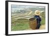 Black Hmong Ethnic Group and Rice Fields, Sapa Area, Vietnam, Indochina, Southeast Asia, Asia-Bruno Morandi-Framed Photographic Print