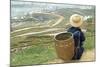 Black Hmong Ethnic Group and Rice Fields, Sapa Area, Vietnam, Indochina, Southeast Asia, Asia-Bruno Morandi-Mounted Photographic Print