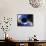 Black Hole, Conceptual Artwork-Victor Habbick-Framed Stretched Canvas displayed on a wall