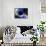 Black Hole, Conceptual Artwork-Victor Habbick-Framed Stretched Canvas displayed on a wall