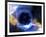 Black Hole, Conceptual Artwork-Victor Habbick-Framed Photographic Print