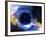 Black Hole, Conceptual Artwork-Victor Habbick-Framed Photographic Print