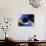 Black Hole, Conceptual Artwork-Victor Habbick-Mounted Photographic Print displayed on a wall