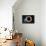 Black Hole - Digital Painting-anatomyofrockthe-Framed Stretched Canvas displayed on a wall