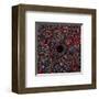 Black Hole in NGC 1600-null-Framed Art Print