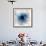 Black Hole-Christian Darkin-Framed Photographic Print displayed on a wall