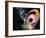 Black Hole-Victor Habbick-Framed Photographic Print